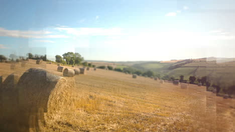 video generado digitalmente de heno en el campo 4k