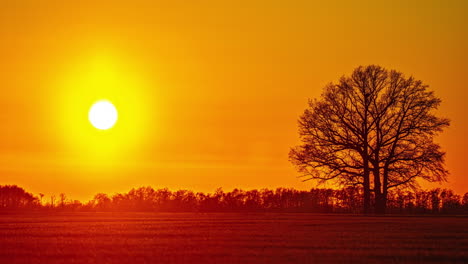 Disparo-Panorámico-Estático-De-Lapso-De-Tiempo-De-Gradiente-De-Puesta-De-Sol,-Campo-Agrícola