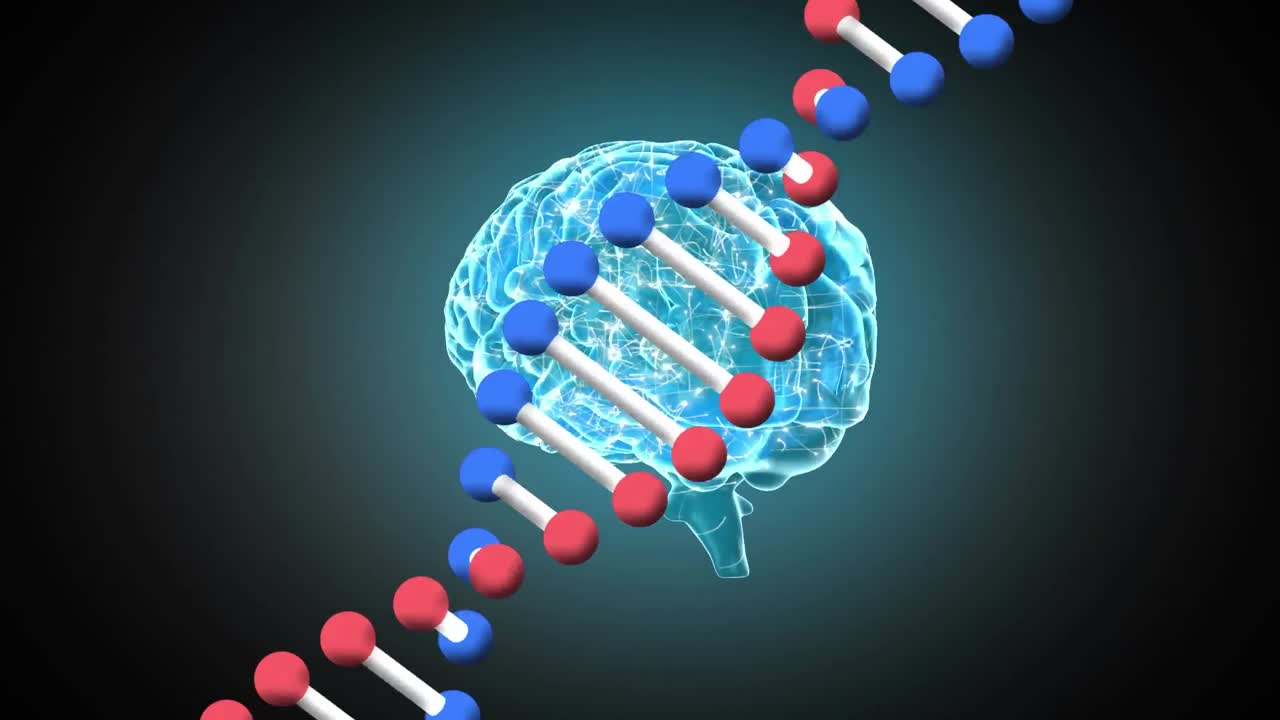 Animação digital de estrutura de DNA e cérebro humano girando em um fundo preto.