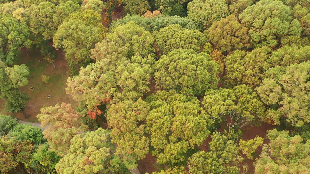a top down shot over colorful tree tops during the day