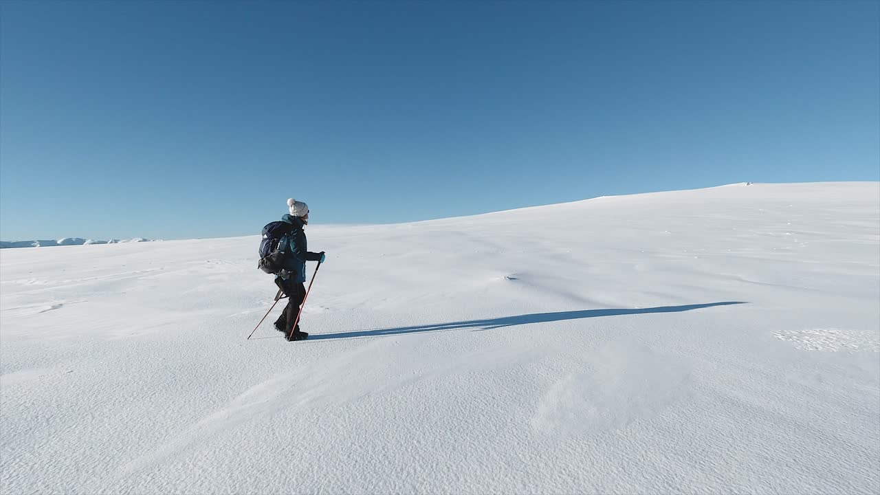 caminando de izquierda a derecha a lo largo de un paisaje nevado