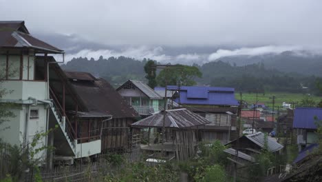 the natural diversity of hilly areas is houses and roads