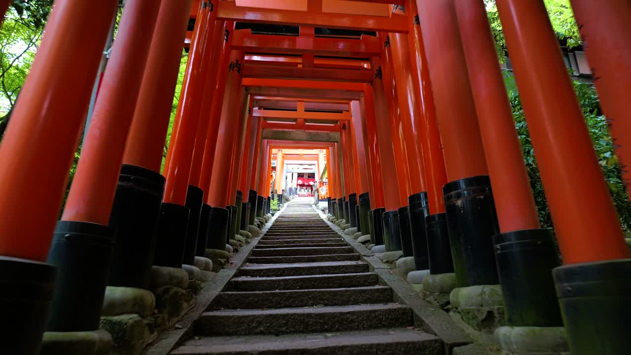 Inquadratura in movimento in avanti che sale gradini in pietra attraverso i cancelli rossi torii a Fushimi Inari, Kyoto