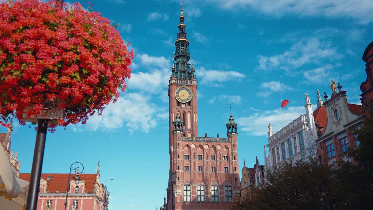 Profile view of St. Mary's Basilica with red flower tree in foreground and beautiful skyscape in Gdansk, Poland. Pan shot.