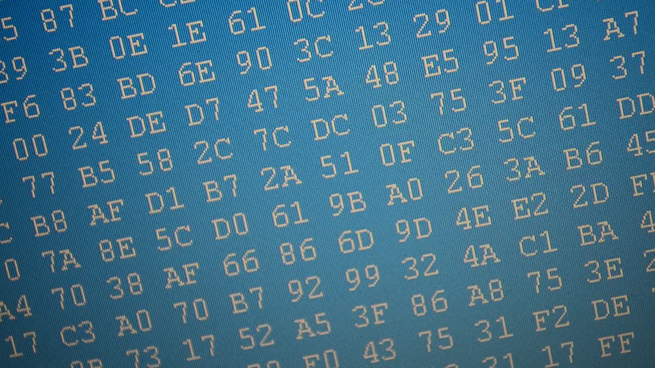 The file in the form of a code. The ciphered file. Hexadecimal program code on screen. Animated background of moving binary code numbers