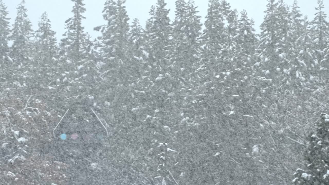 Snow gently falls over the charming, traditional thatched-roof houses in Shirakawa-go, a UNESCO World Heritage village in Japan.