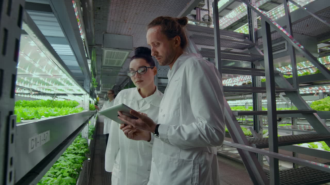 People in white coats walk around a modern farm collecting statistics for analysis and debating the success of genetic engineering. The concept of the modern farm of the future
