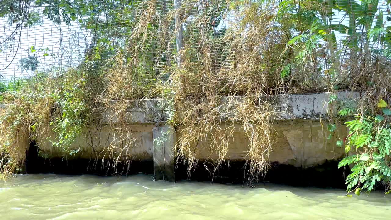 울창한 식물과 구조물이 있는 경치 좋은 운하