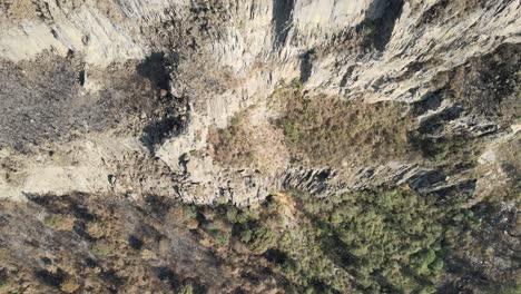 dolly tilt in crag and forest