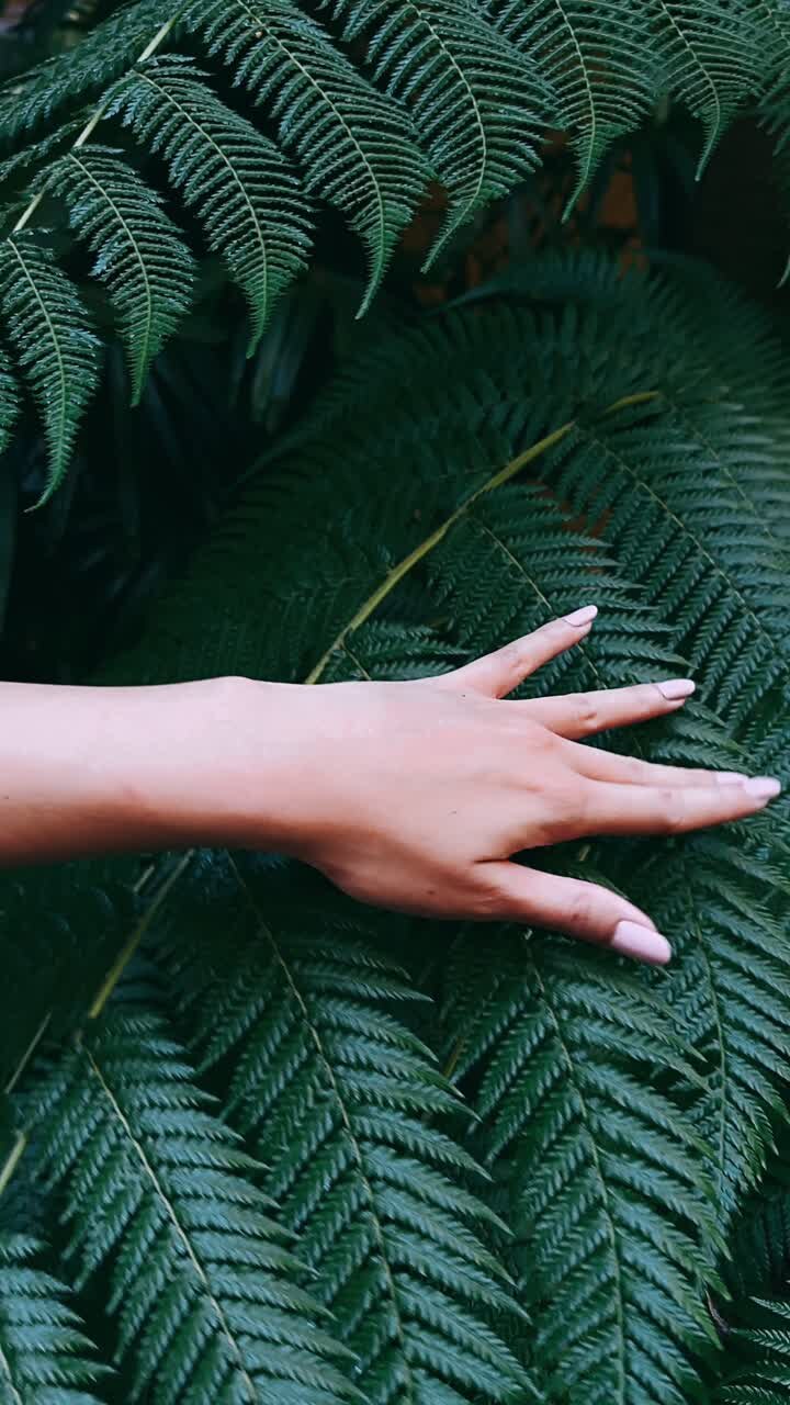 Woman's hand touching fern leaves