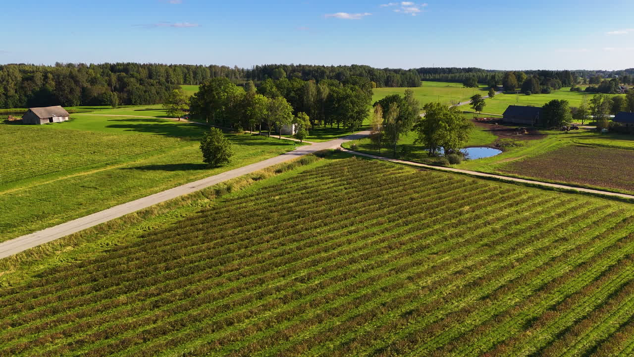 Rural Agricultural Farmland In The Quiet European Countryside Of Latvia.