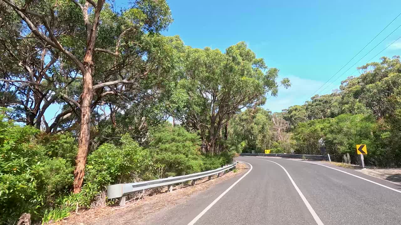 A serene drive through lush greenery and winding roads under clear blue skies on the Great Ocean Road