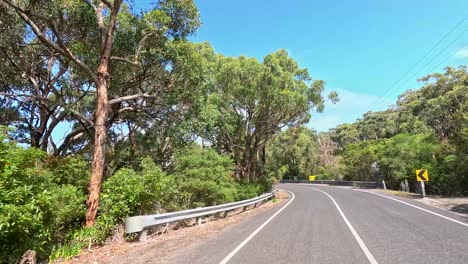 a serene drive through lush greenery and winding roads under clear blue skies on the great ocean road