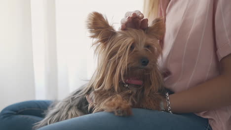 Young-Woman-Petting-Her-Little-Dog-At-Home-3