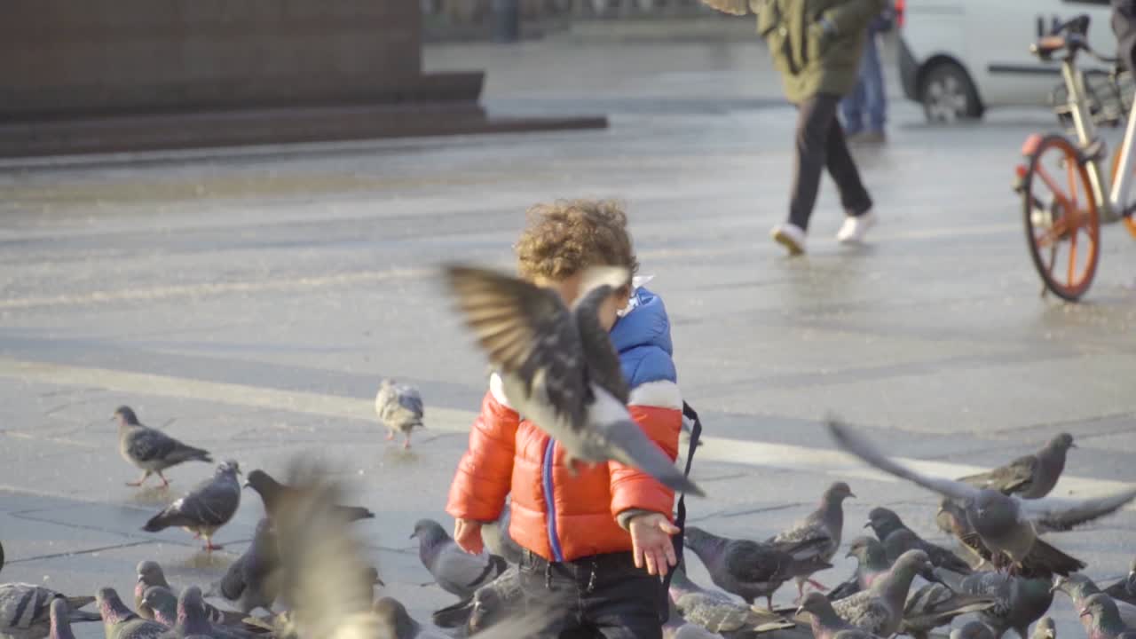 A kid playing with bird and pigeons