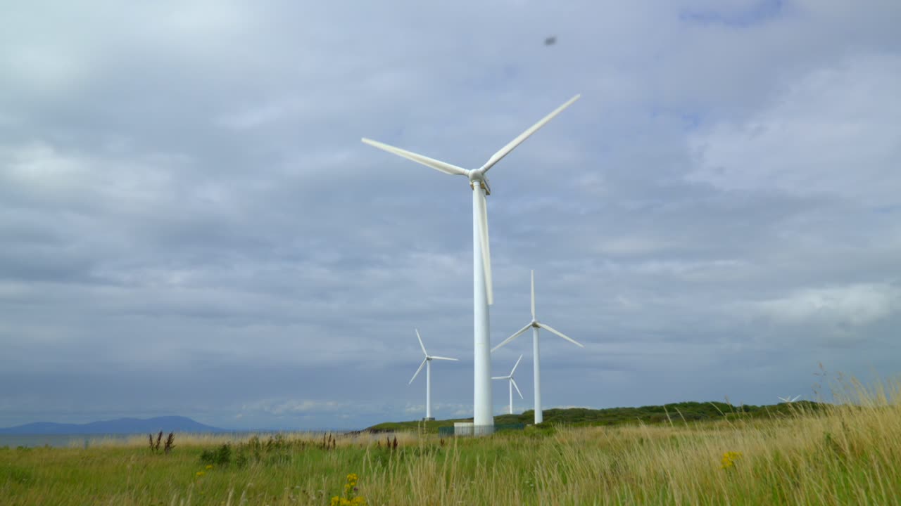 잔디 층에서 올라와 회전하는 풍력 터빈을 드러내는 구름진 여름 하늘과 함께  ⁇ 벌이 프레임 안과 밖으로  ⁇ 거리고 있습니다.