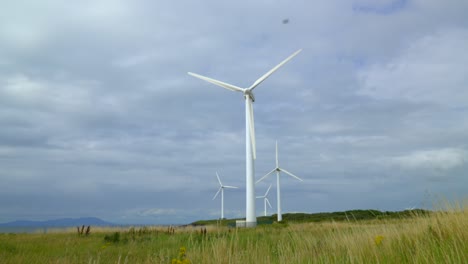 Rise-up-from-grass-level-revealing-rotating-wind-turbines-against-cloudy-summer-sky-with-bumblebee-buzzing-in-and-out-of-frame