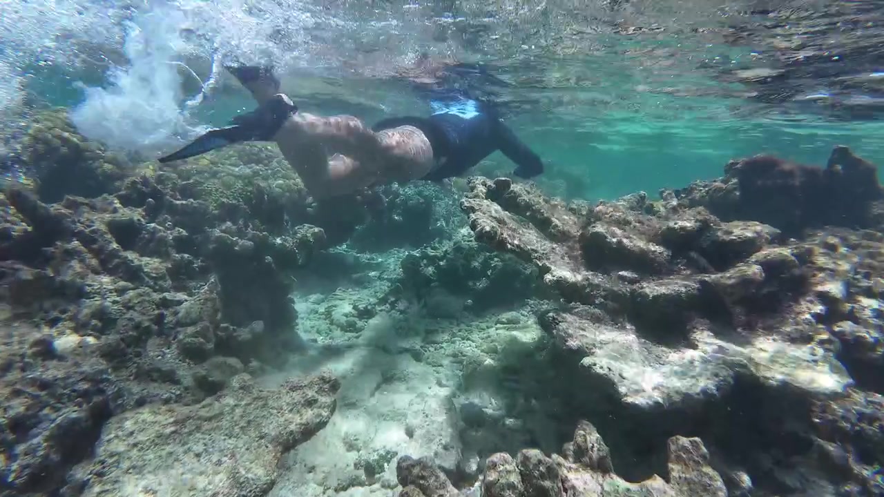 Vista subacquea immersiva di un uomo che esplora una vivace barriera corallina nelle acque turchesi dei Caraibi, Los Roques, Venezuela