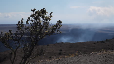 El-Humo-Proviene-Del-Volcán-Con-Arbustos-Que-Soplan-En-El-Viento-En-Hawaii