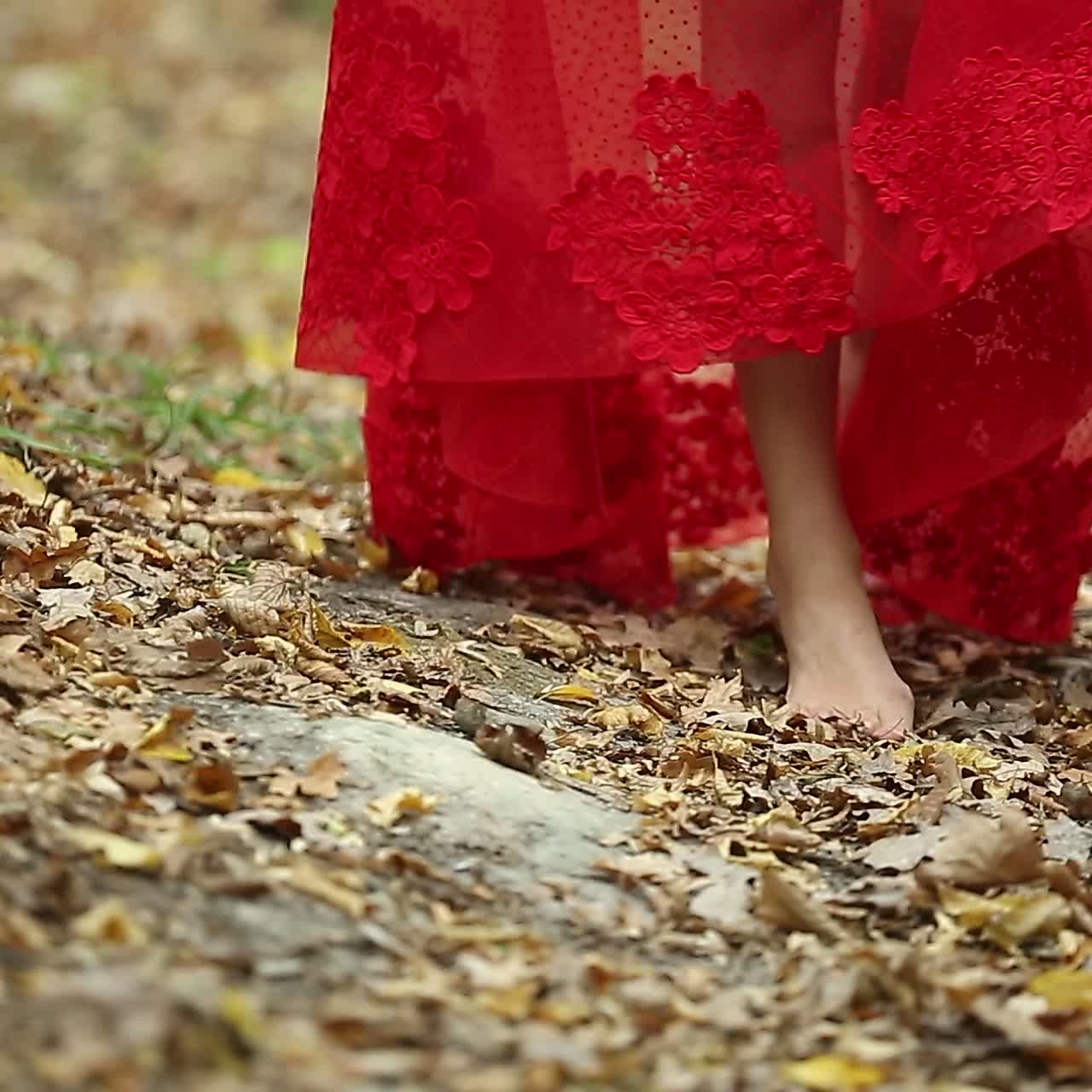 Pretty Woman Walking In The Forest