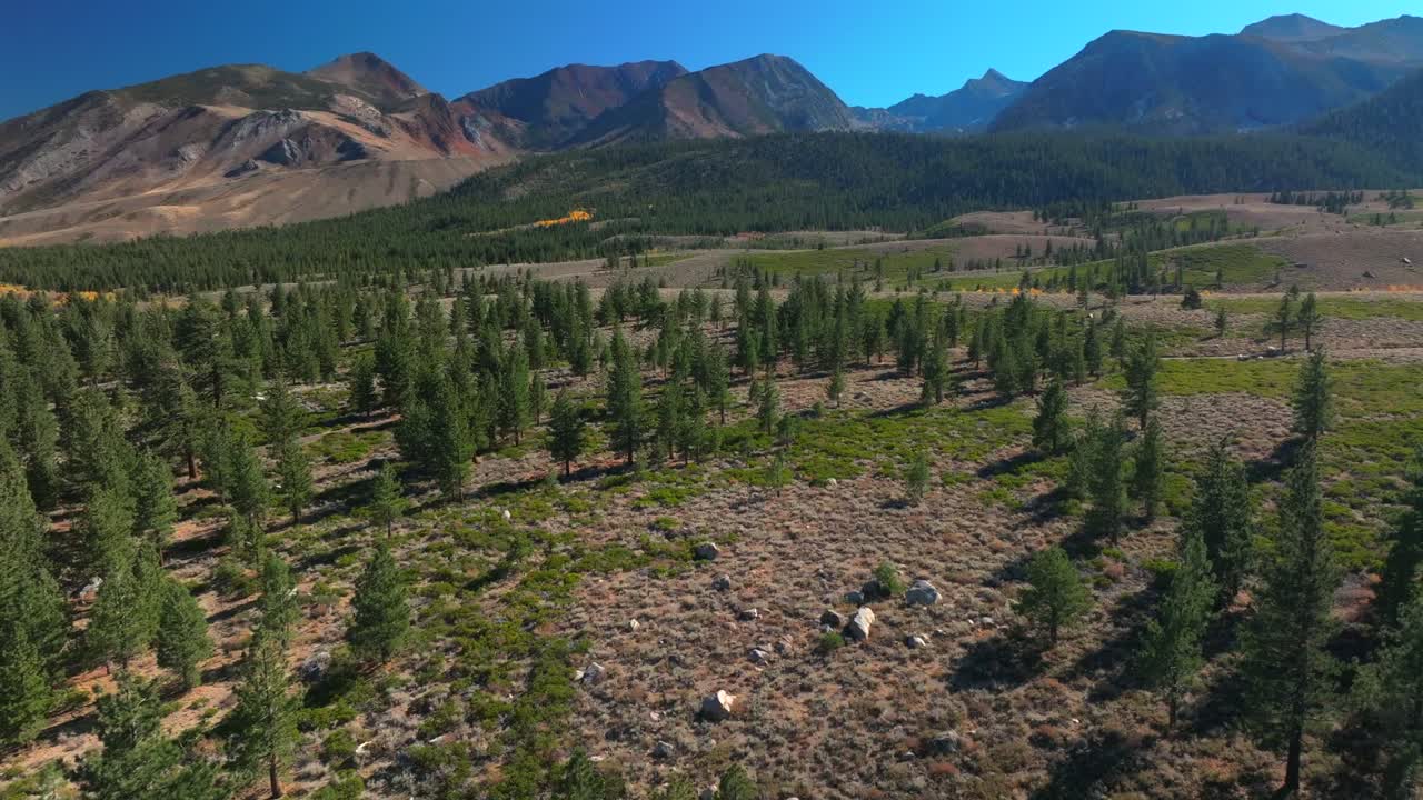 Mammoth Mountain Lakes Ski Area Sierras Nevadas Crowley Lake Mary Convict Canyon Volcom Brother Skatepark aerial drone California summer autumn fall yellow Aspen Trees sunny blue sky forward pan up