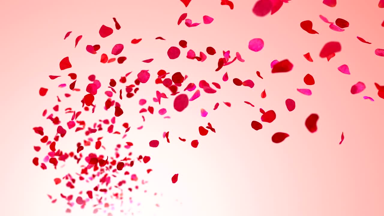 핑크색 배경에 날아다니는 장미 잎자루.
