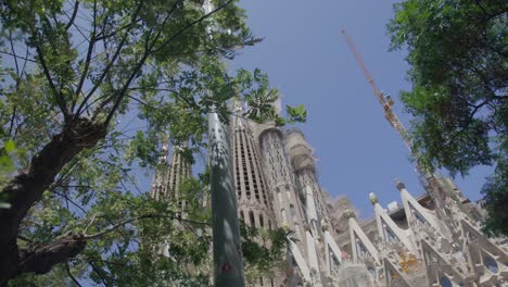 sky view through windy trees, the famous sagrada familia cathedral in barcelona spain in the early morning in 6k