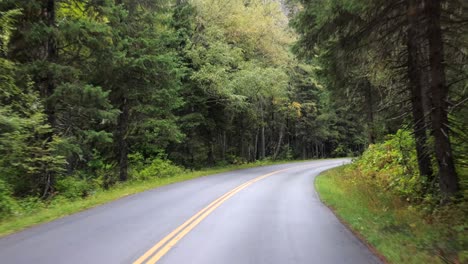 Driving-thru-the-forest-in-West-Glacier,-Glacier-National-Park-Montana-late-September-after-a-little-rain