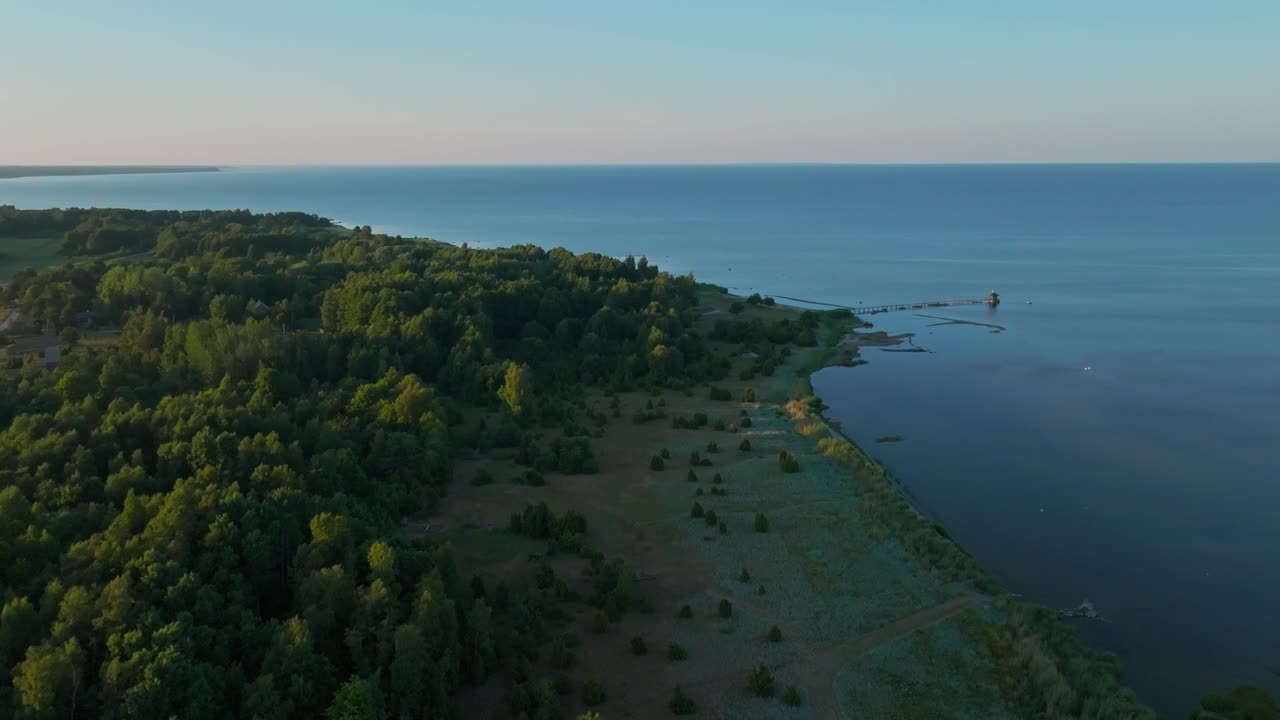 Forested marshy coastline at goldehour, Saaremaa Estonia