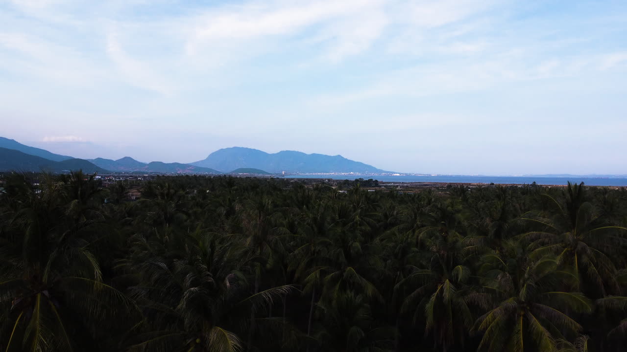 Aerial tropical jungle rainforest landscape Cam Ranh coastline vietnam with scenic mountains seascape