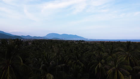 Aerial-tropical-jungle-rainforest-landscape-Cam-Ranh-coastline-vietnam-with-scenic-mountains-seascape