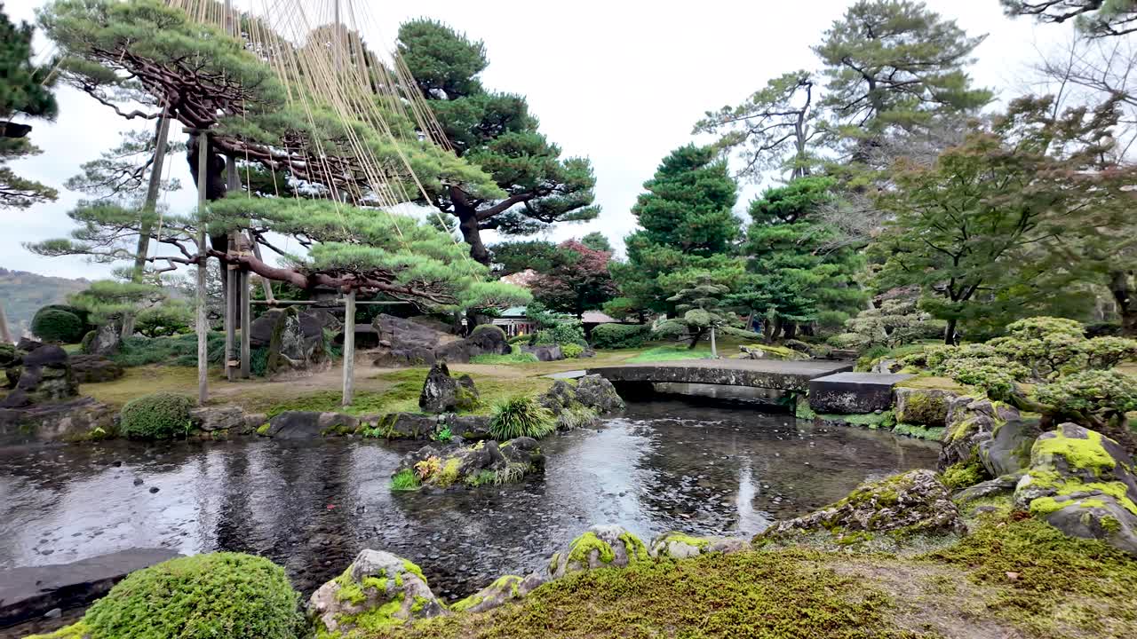 Traditional Japanese garden featuring yukitsuri, a winter protection technique for pine trees, a stone bridge, and a pond, creating a tranquil atmosphere
