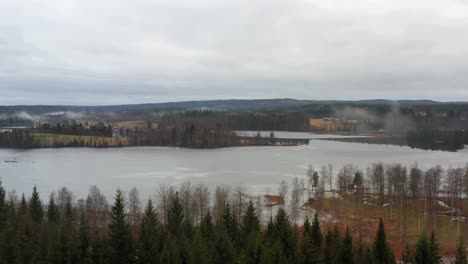 revealing shot of a frozen lake in the country side of sweden