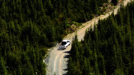 aerial view of pickup truck driving on an uphill dirt road between the forest