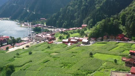 aerial drone flying across farmland in the mountain village of uzungol trabzon on a sunny summer day with a mosque near a beautiful lake in turkey