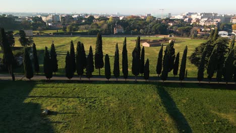 área de ángulo alto dolly a appian way carretera bordeada de árboles en el campo exuberante de roma