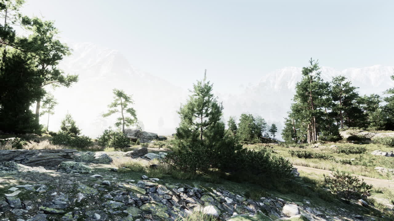 소나무와 안개가 있는 숨막히는 산악 풍경