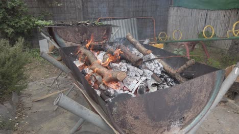 burning wood casting vibrant flames and rising smoke inside metal container, transforming backyard space into warm cooking environment during summer leisure moment