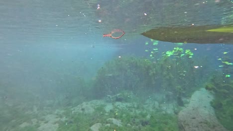 a serene underwater view with passing boat