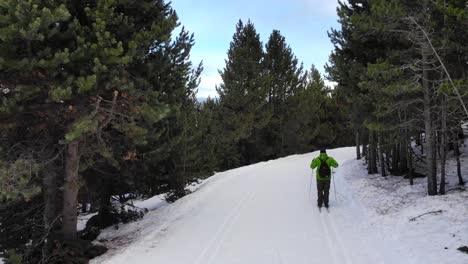 Antenne:-Amateur-Langläufer,-Der-Einer-Loipe-In-Den-Wald-Folgt