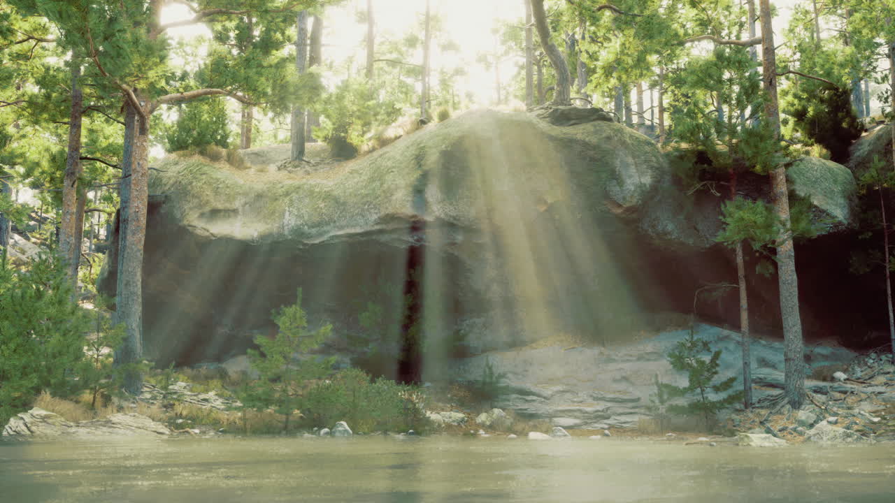 Sunlight filtering through trees near a rocky shore in a serene forest