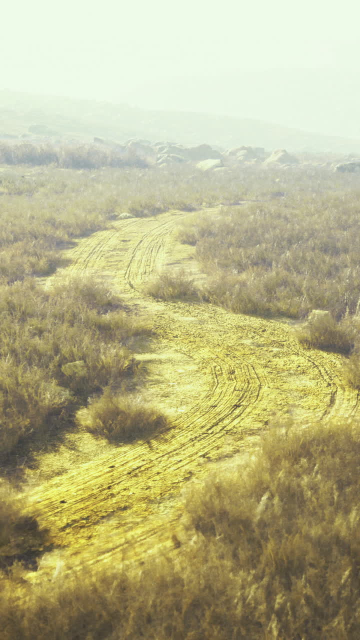 Scenic winding path through golden grass fields in rural landscape