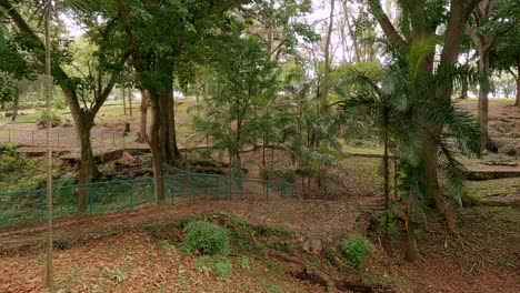 Luft-FPV-Drohne-Rückwärts-Niedrige-Höhe-Im-Mirador-Sur-Park,-Santo-Domingo