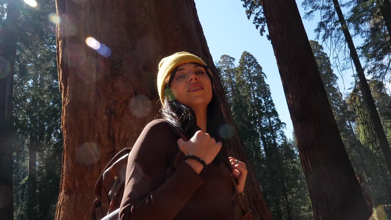 Young Woman with Backpack Looking Up at Giant Sequoia Trees