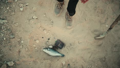 Person-dropping-a-fish-in-the-sand-with-a-pine-cone-and-a-wallet