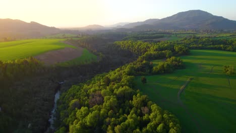 Fliegen-über-Ausläufer,-Vilches,-Chile