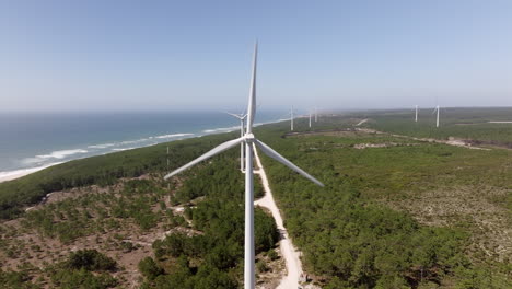 coastal wind farm aerial view