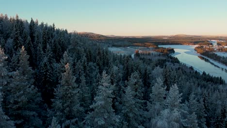 Beautiful-aerial-view-of-flowing-river-in-Lappland,-Sweden-surrounded-by-high-pine-forest-at-sunset--Slow-tracking,-drone-shot