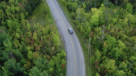 AERIAL-:-Travel-by-car-from-the-top-of-the-forest-in-Cheltenham-Badlands-Canada,-road,-trees