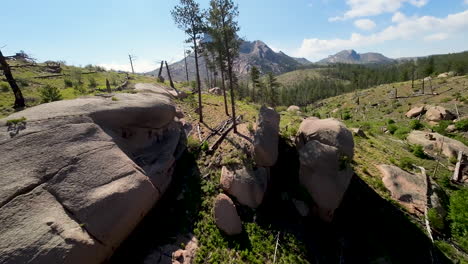 emocionante vuelo de drones fpv a través de los árboles en la montaña, san isabel forest nacional